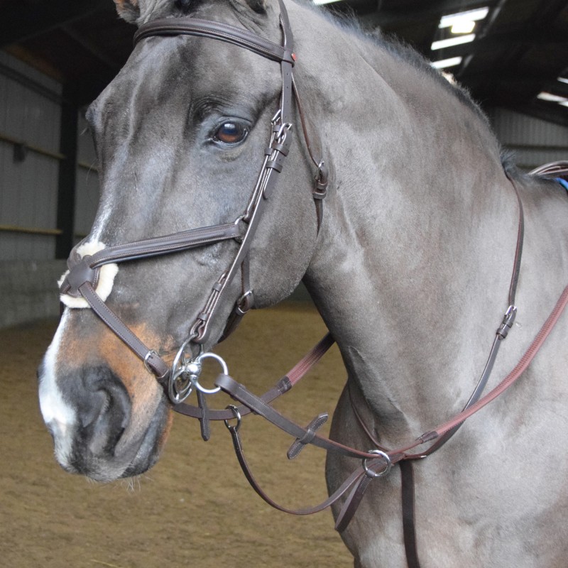 MA054 Ready to Ride Martingale               